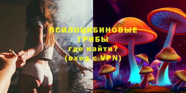 МДПВ Весьегонск