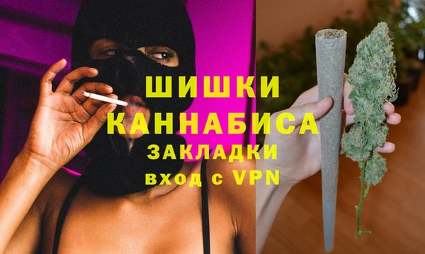 МДПВ Весьегонск