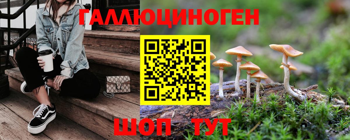 Псилоцибиновые грибы Cubensis Асбест
