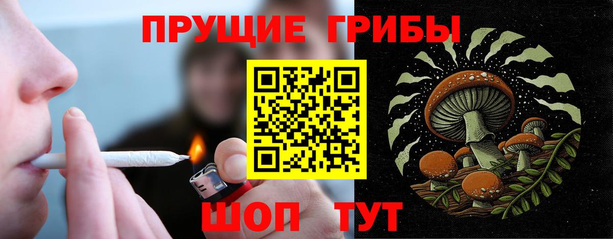 Псилоцибиновые грибы MAGIC MUSHROOMS  Псилоцибиновые грибы Psilocybine cubensis  где продают   Асбест 