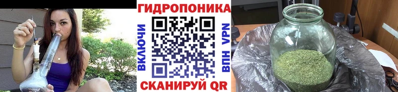 мориарти как зайти Асбест Бошки марихуана ГИДРОПОН